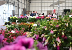 Part of Floricultura filled with flowering plants.